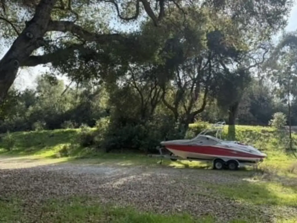 Picture 25