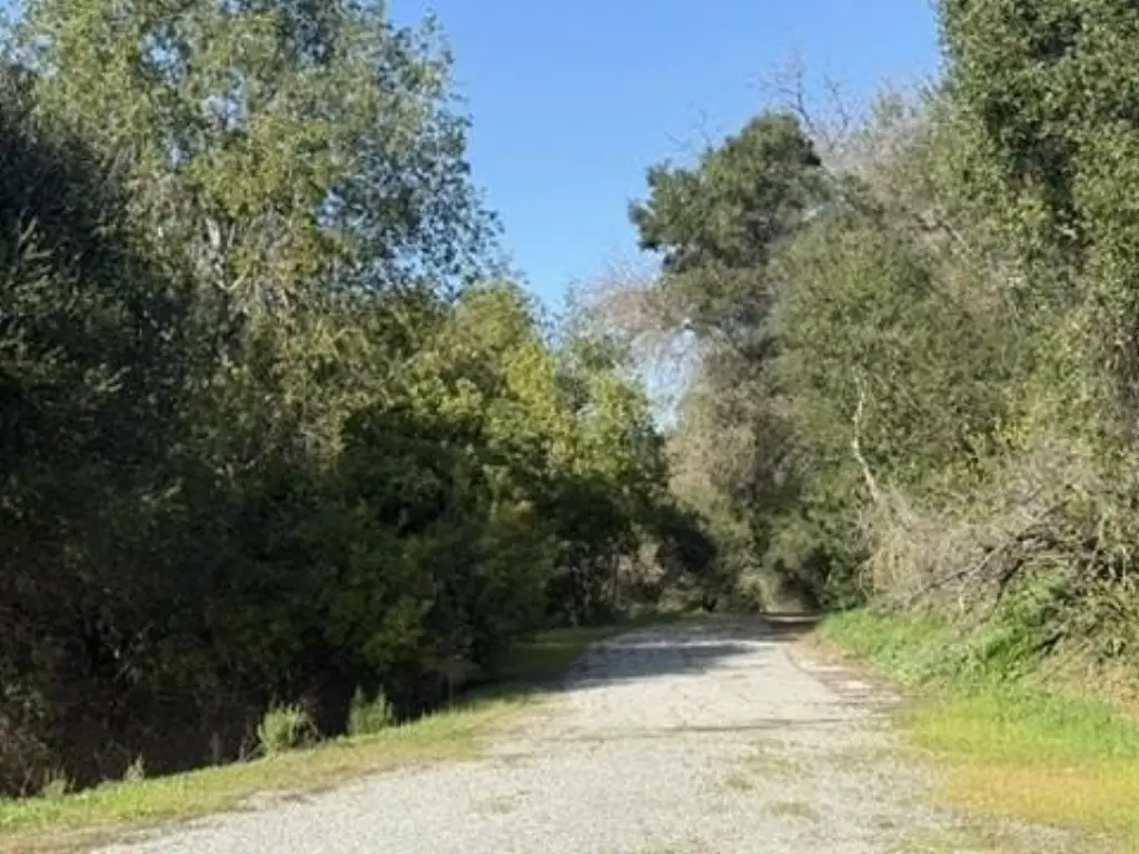 Picture 27