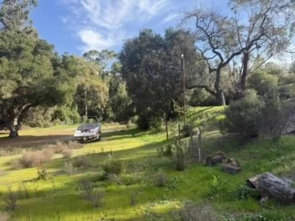 Picture 14