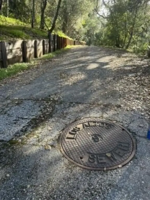 Picture 31