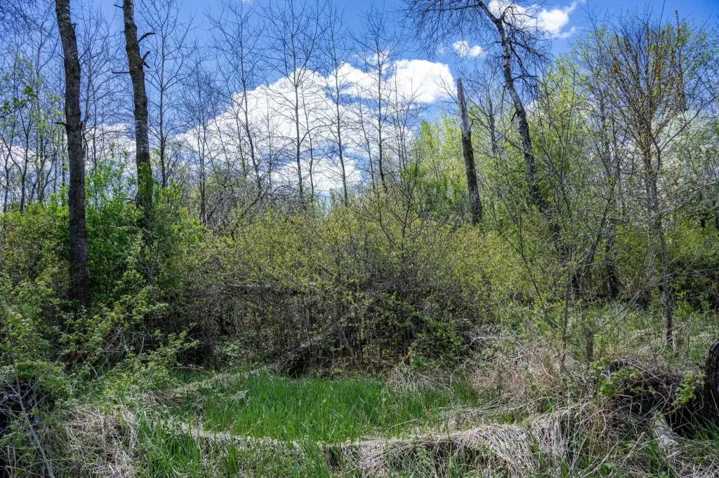 Picture 24