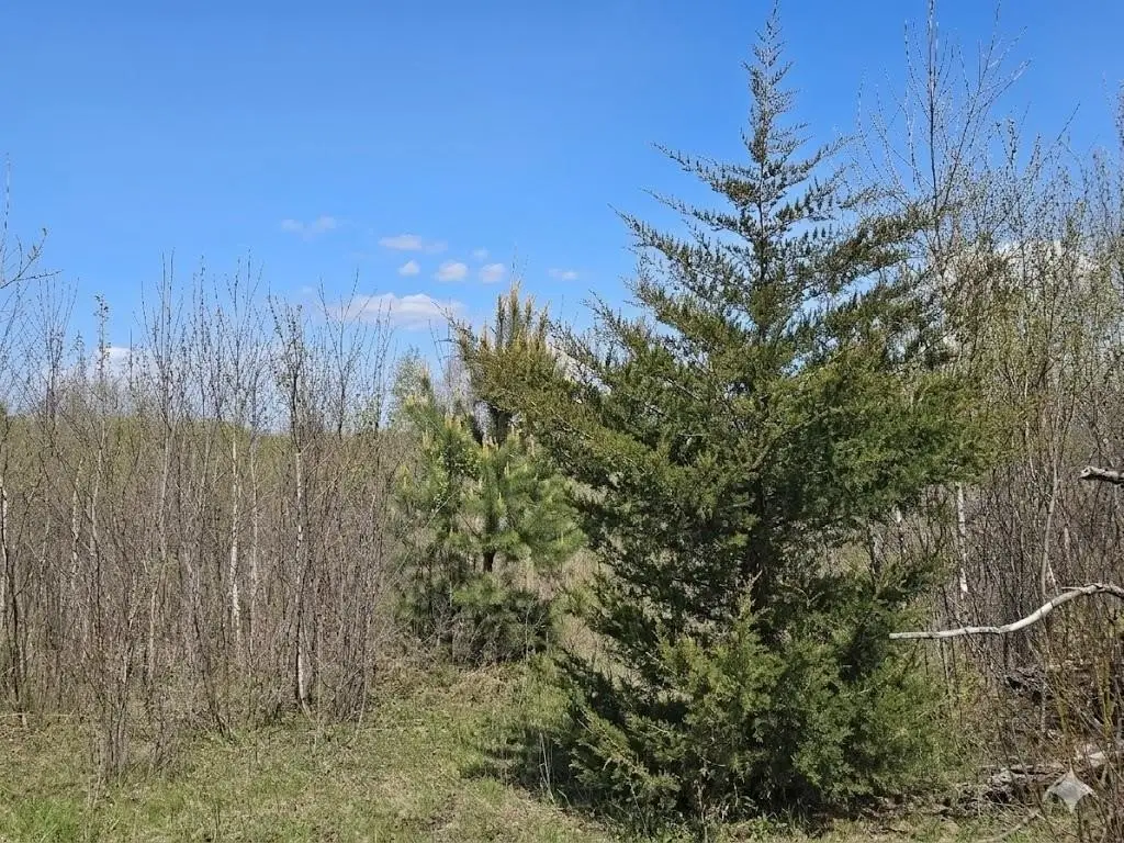Picture 52