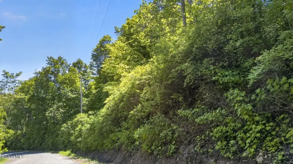 Picture 17