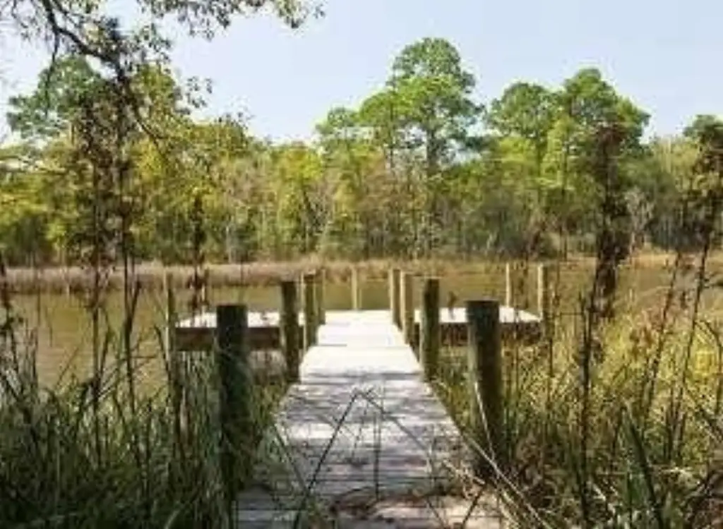 Picture 7
