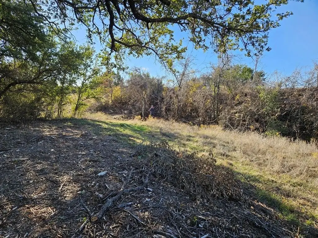Picture 8