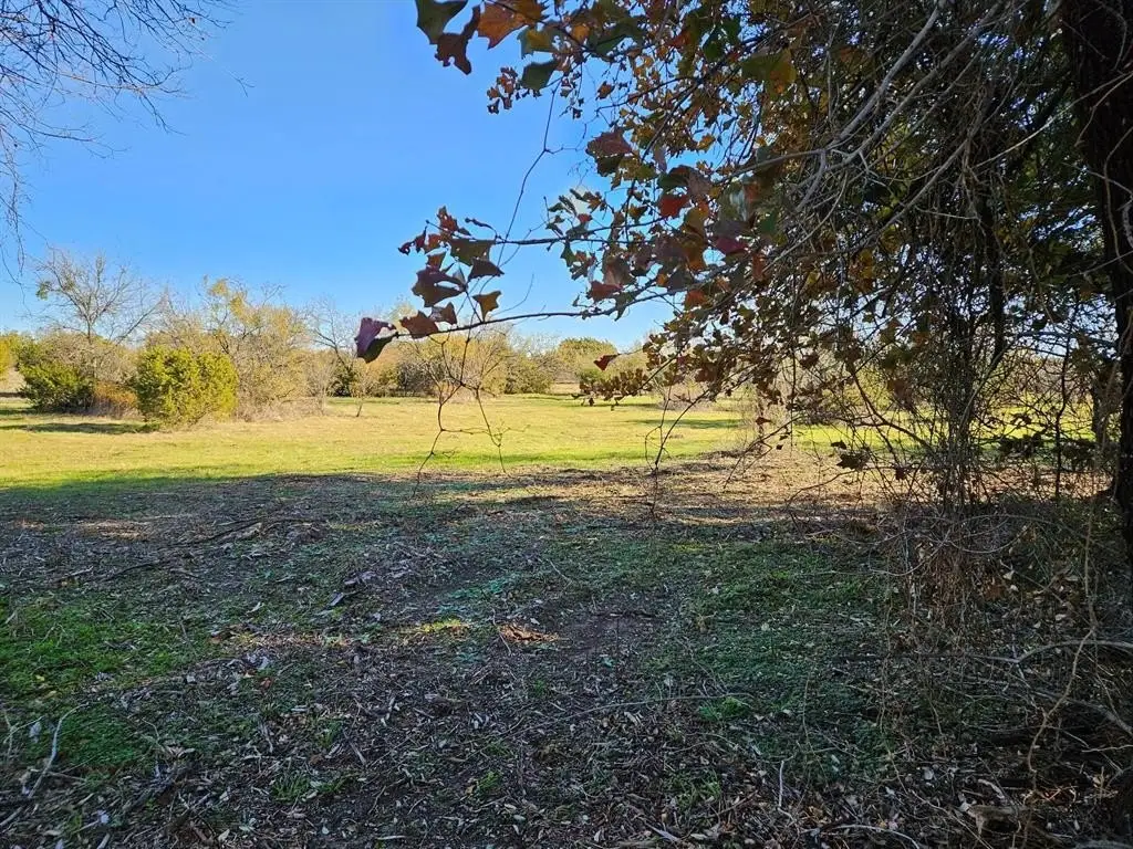 Picture 15