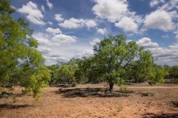 Lane Ranch Near Mason, TX