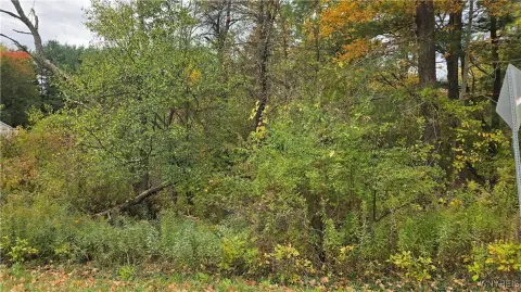 East Aurora Building Lot