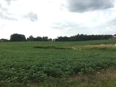 Georgetown Land with Bluegrass Views