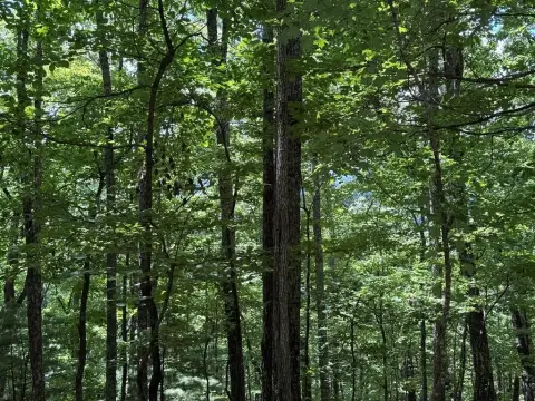 Blue Ridge Acreage For Sale