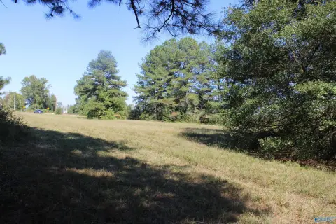 Unrestricted Lots in Elkmont, AL