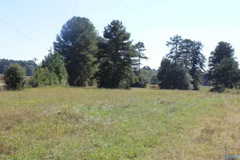 Unrestricted Lot in Elkmont, AL