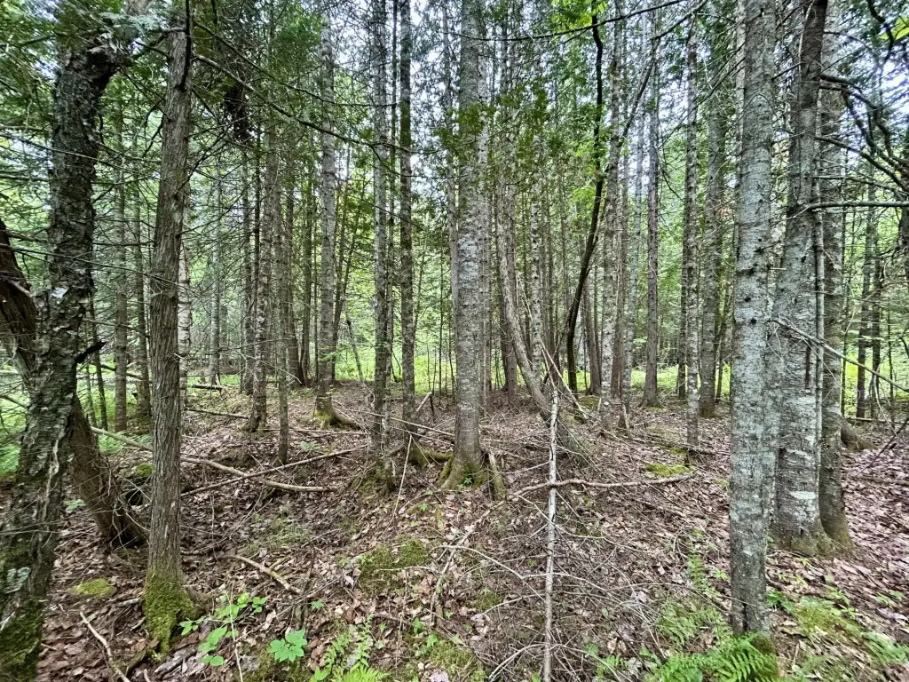 Picture 12