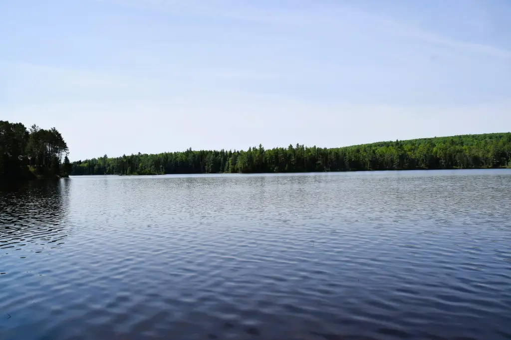 Picture 10