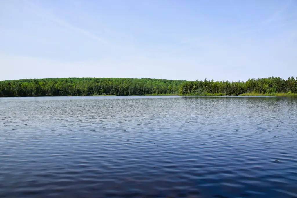 Picture 8