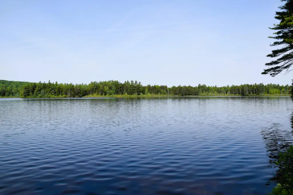 Picture 7