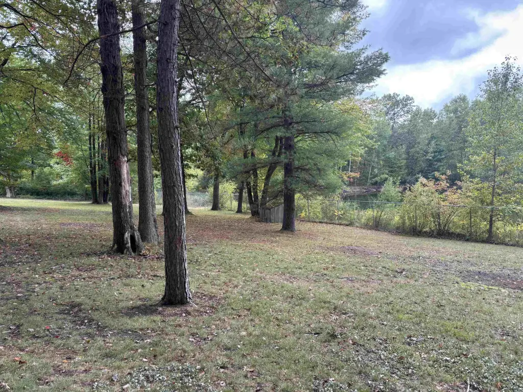 Picture 20