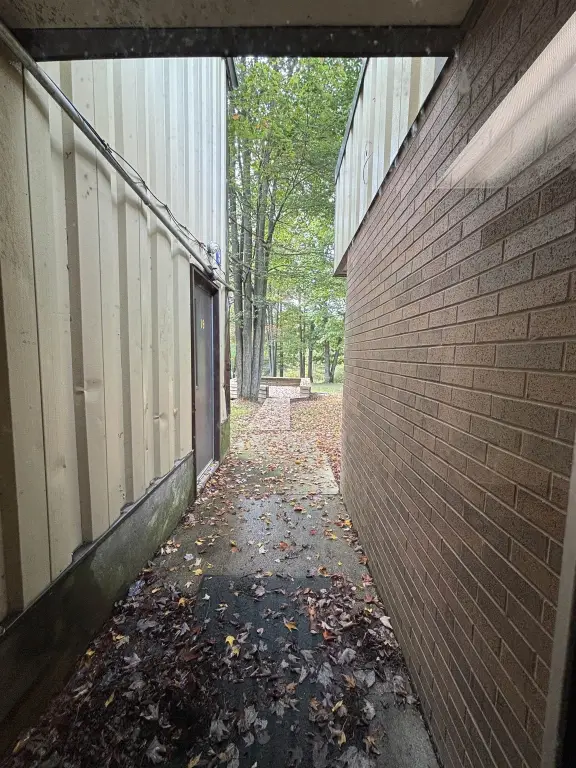 Picture 43