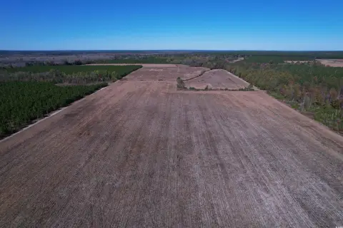 Bishopville Acreage with Agricultural Fields
