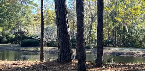 Residential Lot in Gated Community