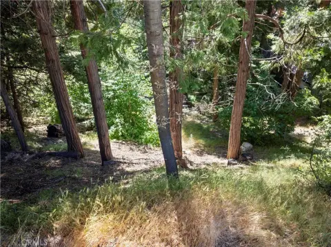 Lake Arrowhead Treed Lot