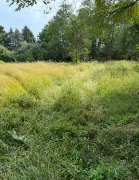 Expansive Land Parcel in Southold