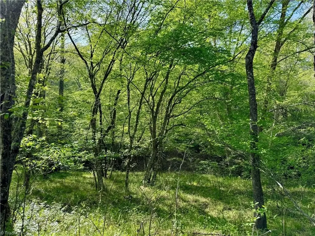 Picture 43