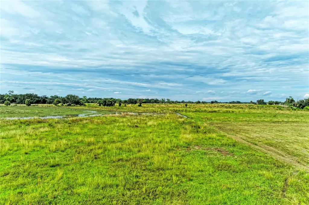 Picture 28