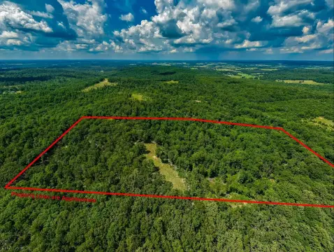 Wooded Hunting Land with Field