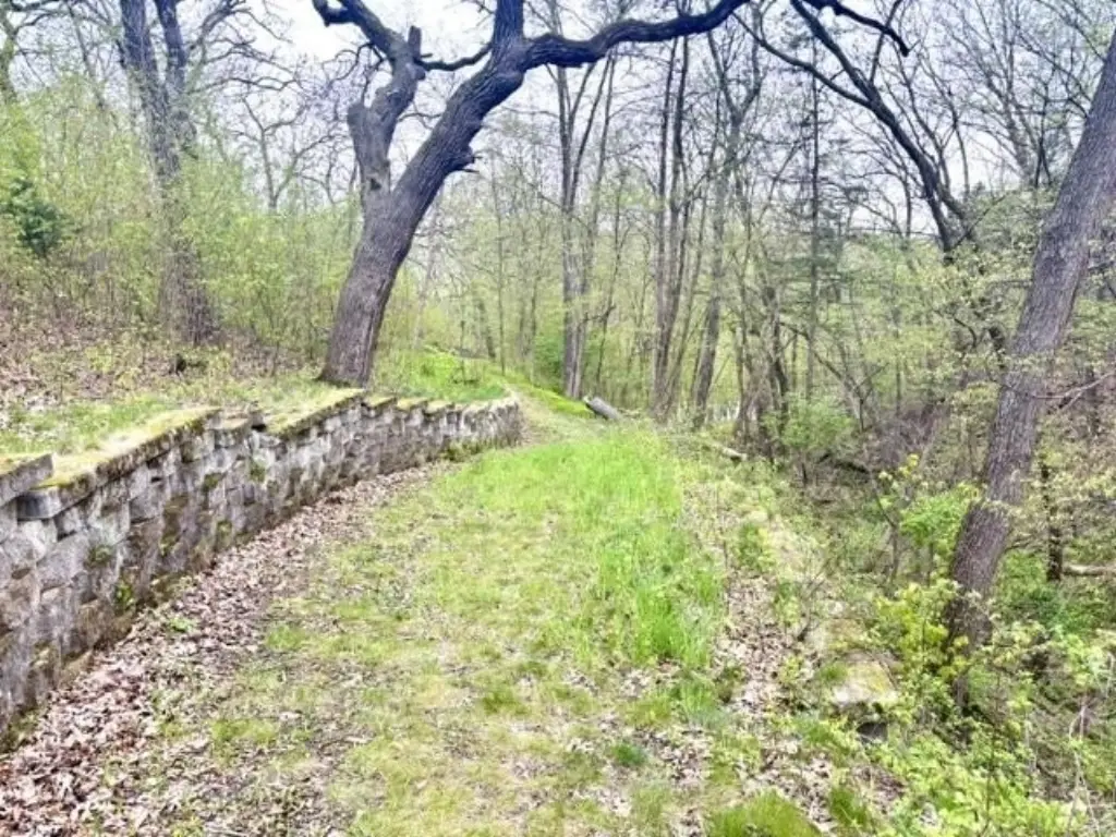Picture 16
