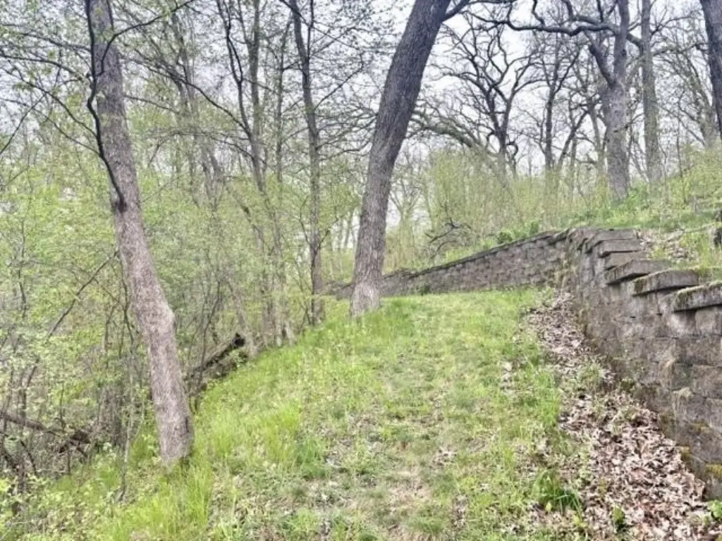 Picture 25