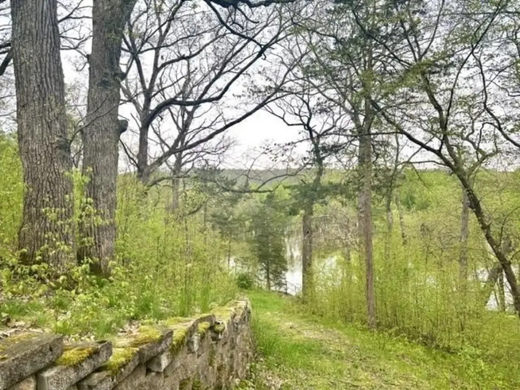 Picture 15