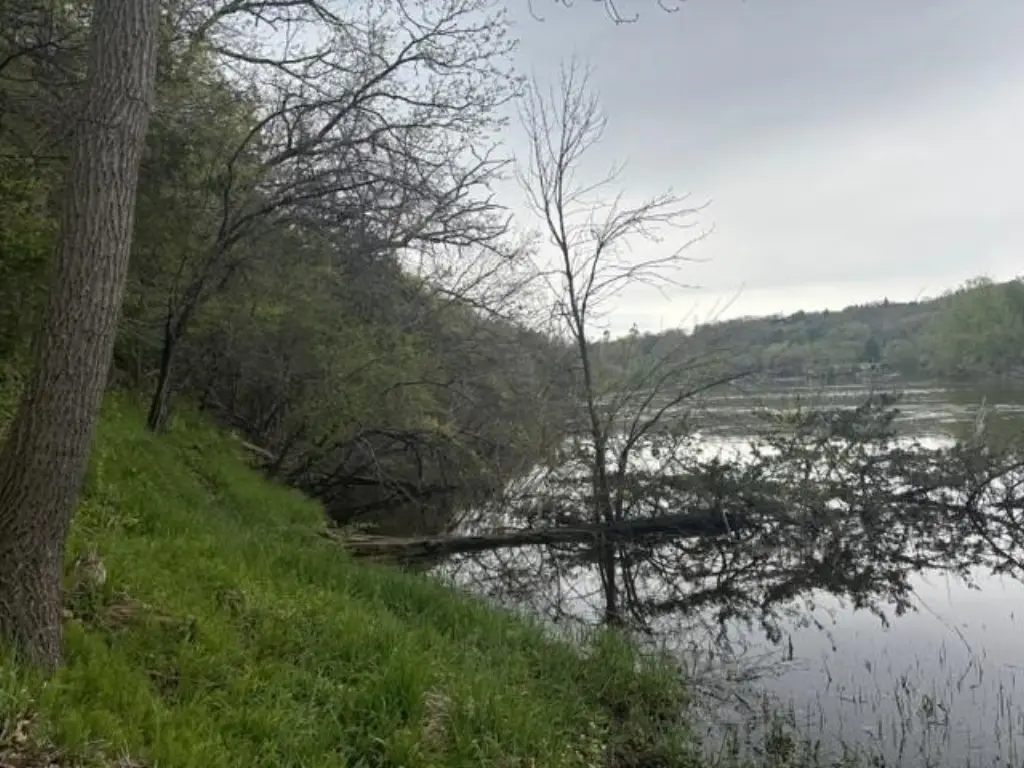 Picture 23