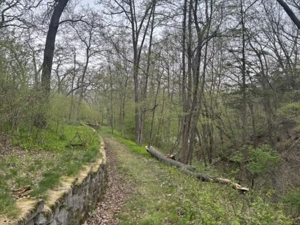 Picture 14