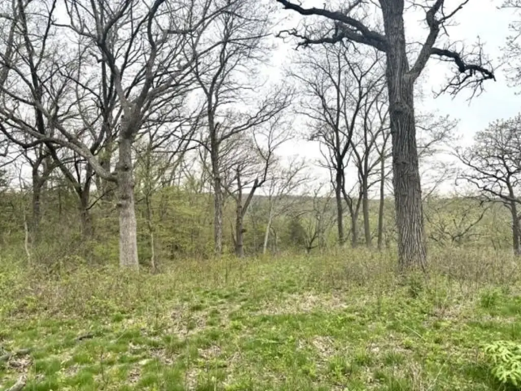 Picture 7
