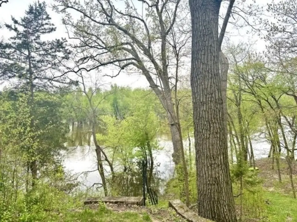 Picture 17