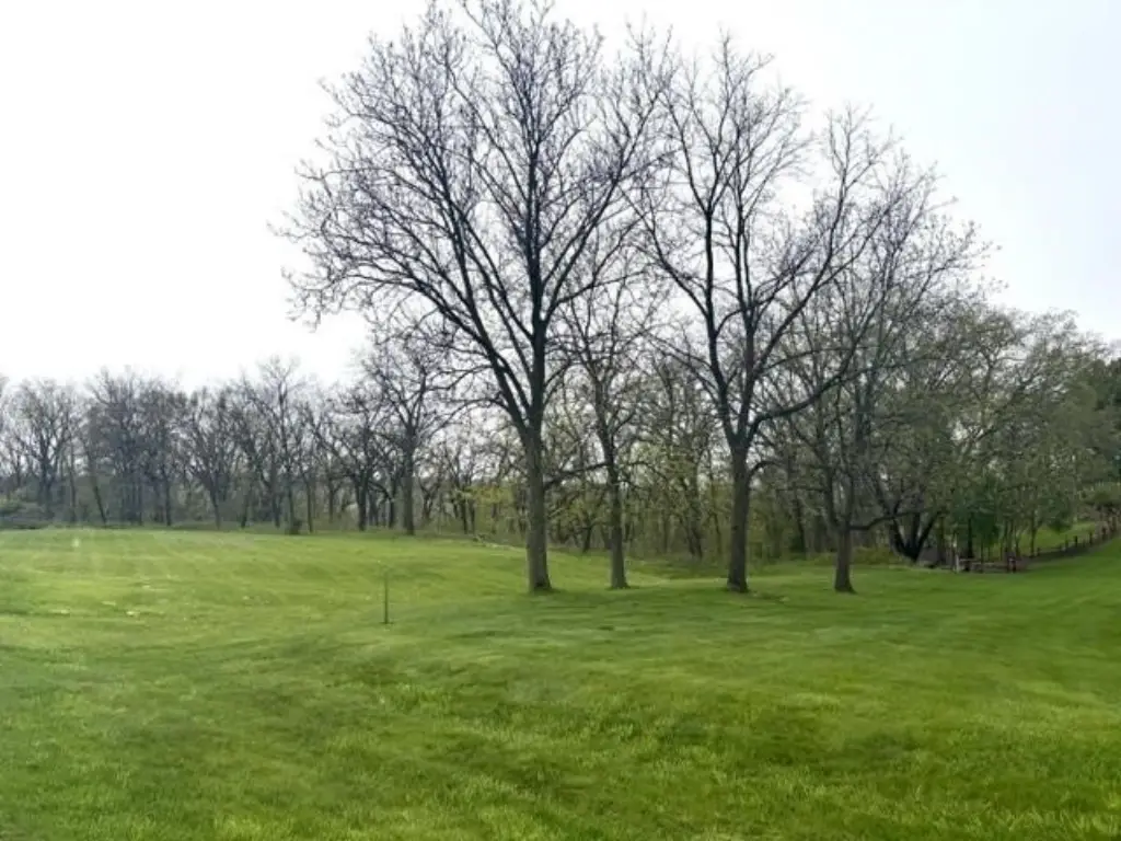 Picture 27