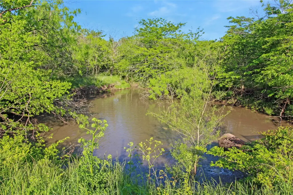 Picture 35