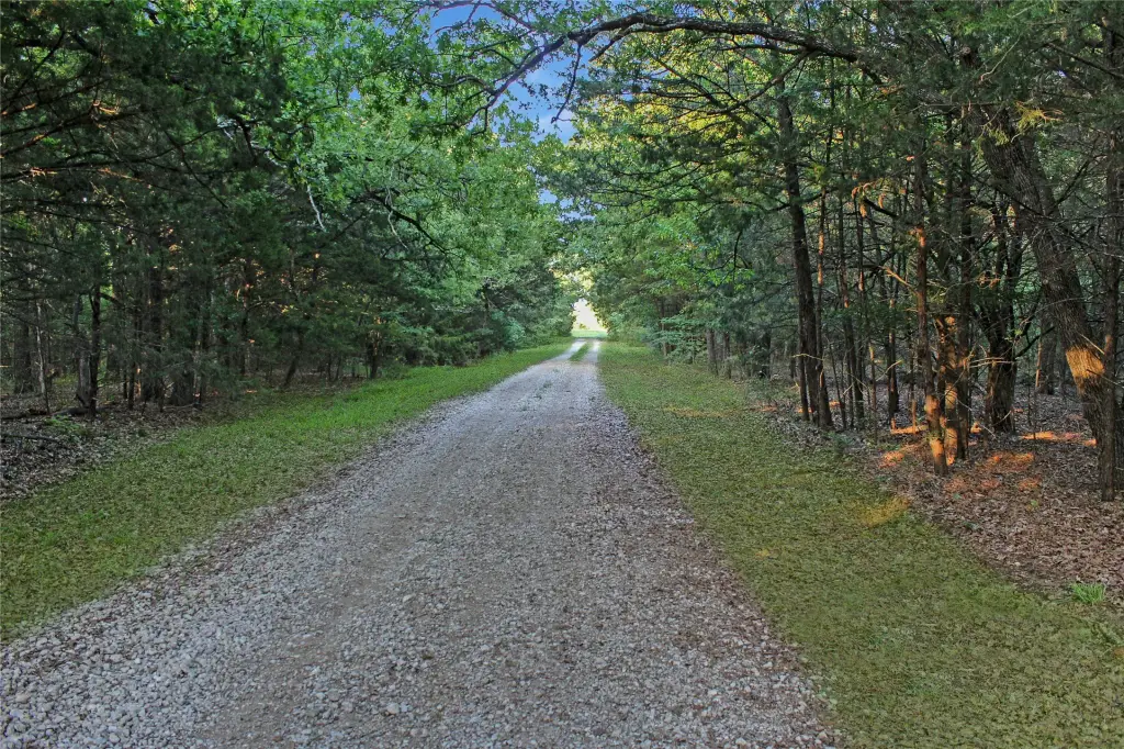 Picture 37