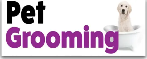 Established Dog Grooming Business