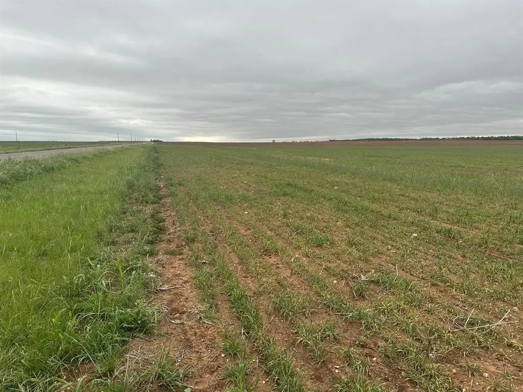 Picture 7