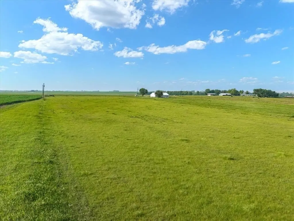 Picture 25