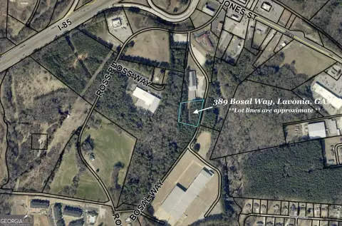 Lavonia, GA Commercial Land