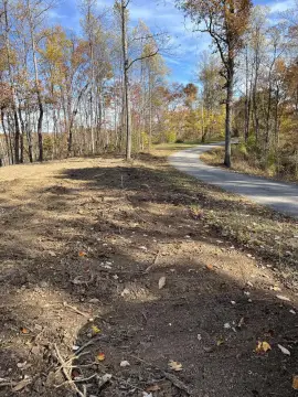 McKee, KY Timber Land