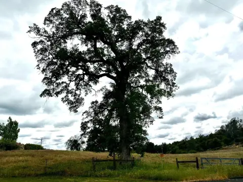 Coarsegold Land with Panoramic Views