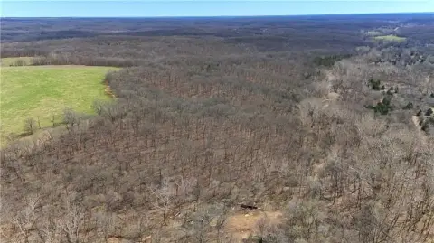 247 Acres of Wooded Hunting