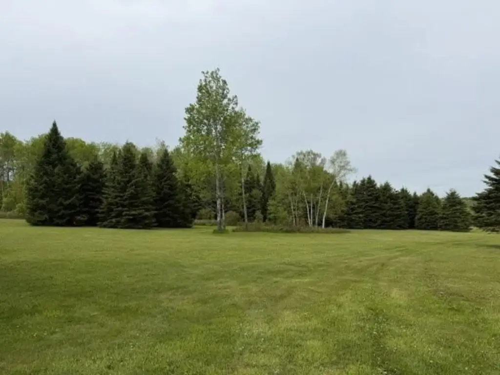 Picture 20