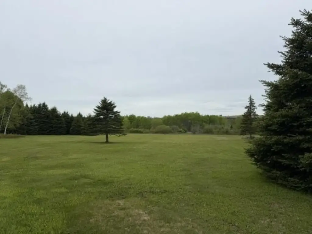 Picture 18