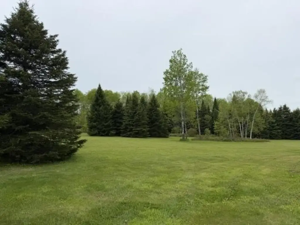 Picture 19