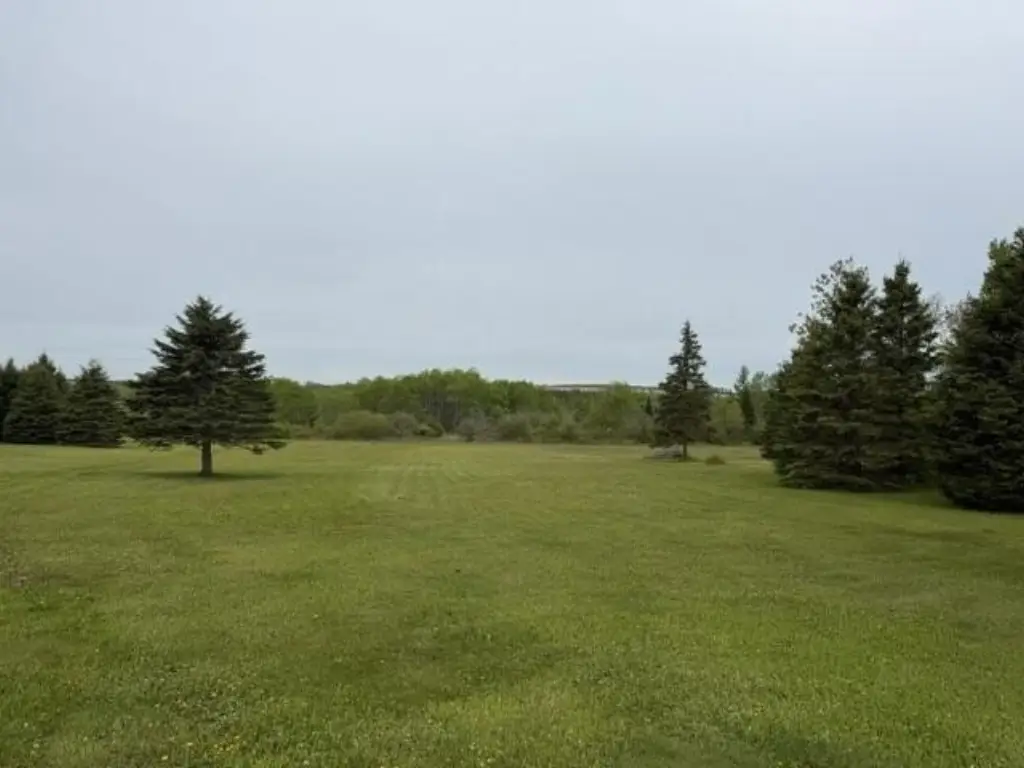 Picture 17